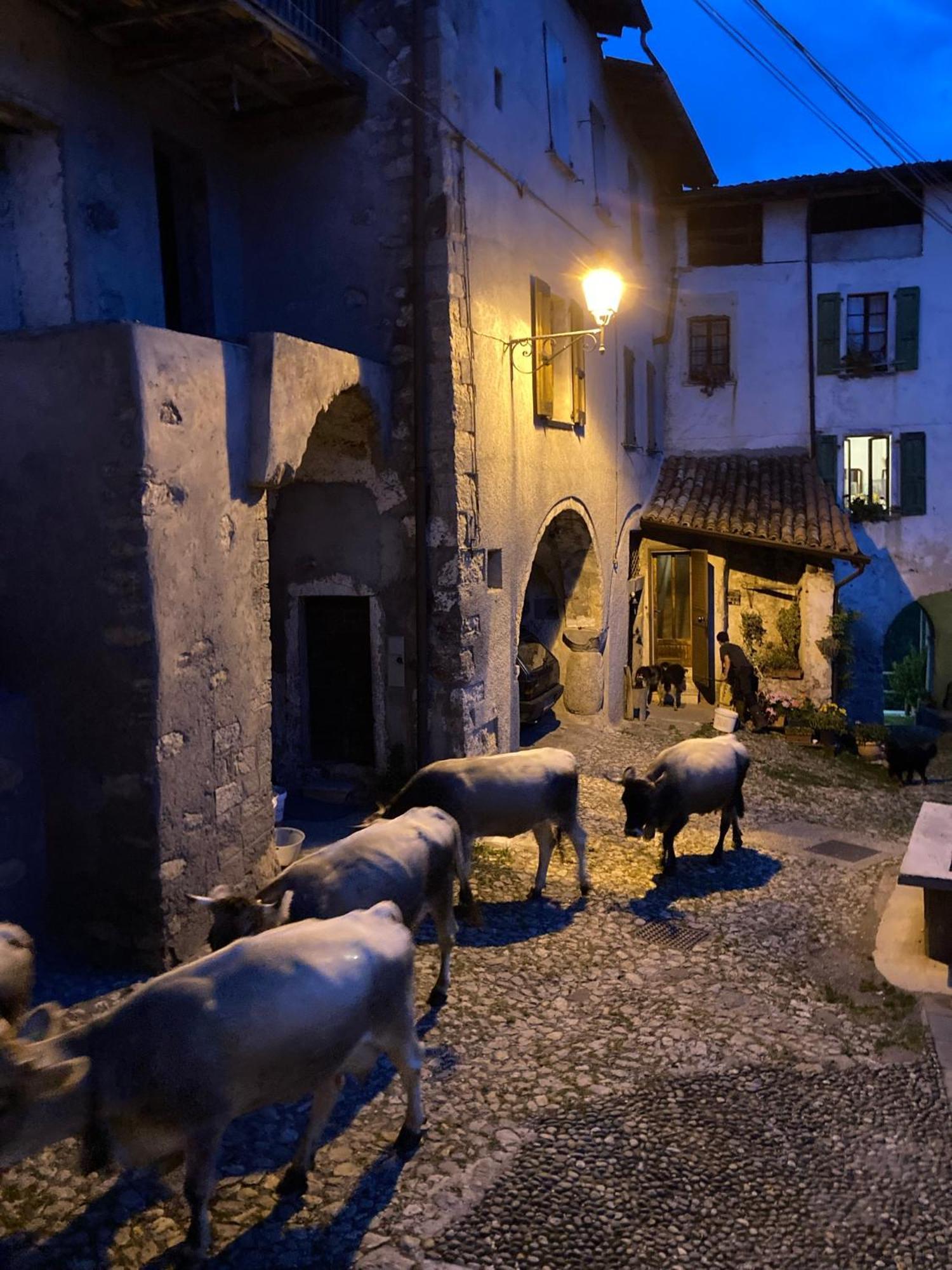 베스토네 A Casa Di Gianni E Mari B&B 외부 사진